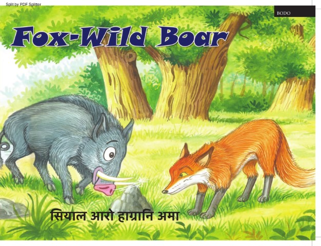 Fox - Wild Boar